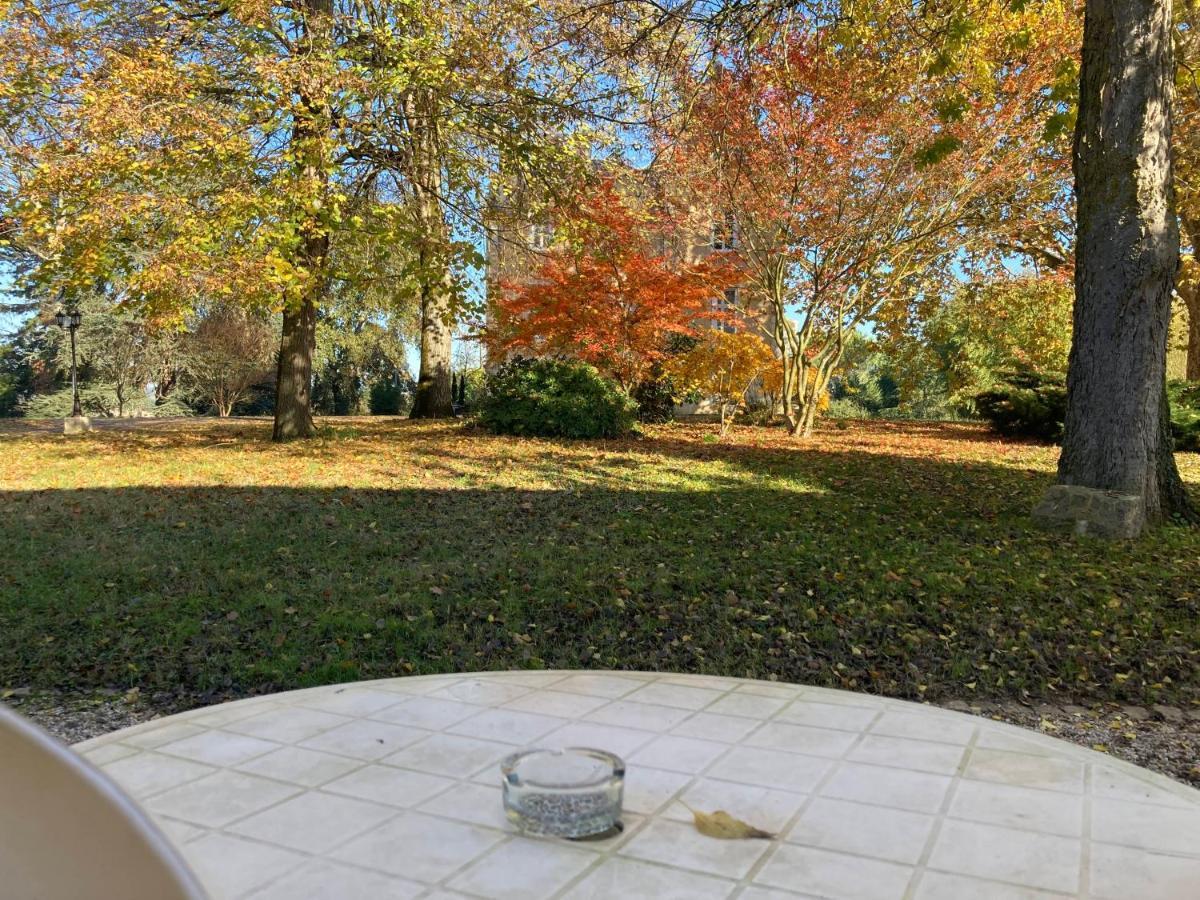 Orangerie Du Chateau Marith - Domaine Avec Piscine Clairac  Zimmer foto
